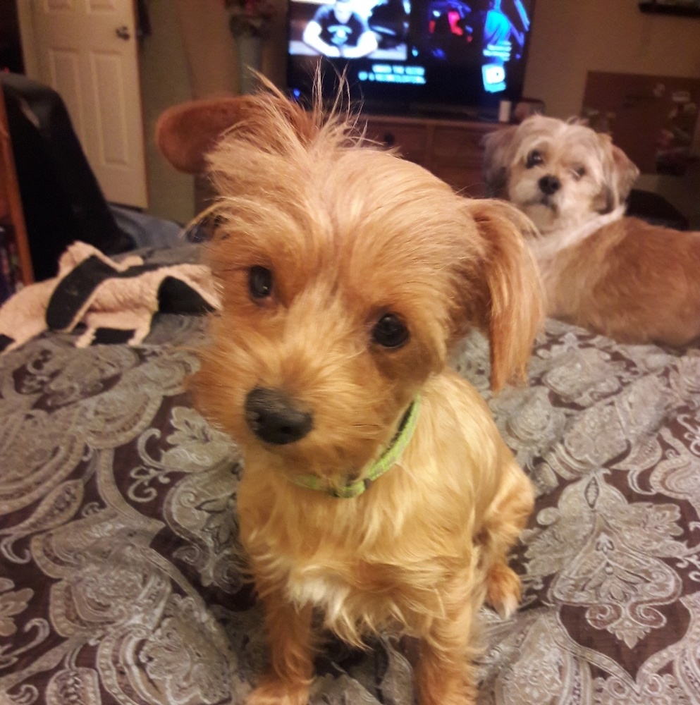 Meet your Posher, Cindy